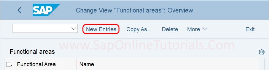 Functional Areas new entries in SAP Hana