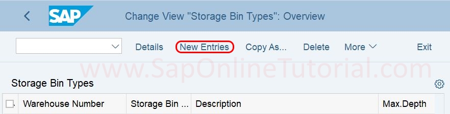 Storage Bin types new entries in SAP Hana EWM