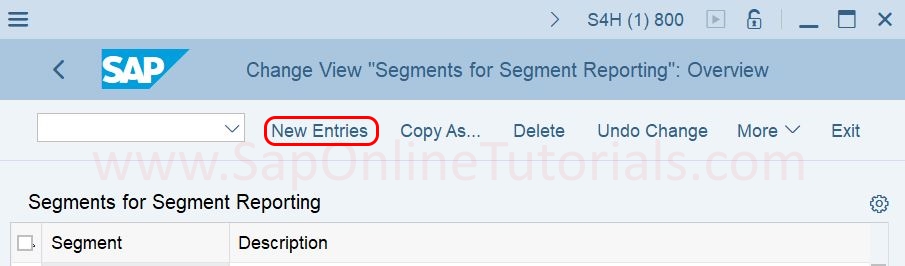 segments for segment reporting in SAP S4Hana