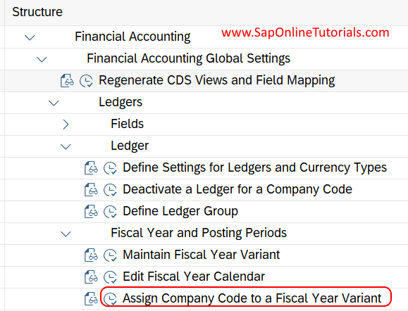 Assign Company Code to Fiscal Year Variant i