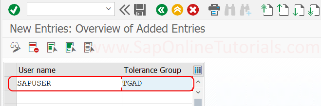 Assign Users to Tolerance Groups in SAP S4 Hana