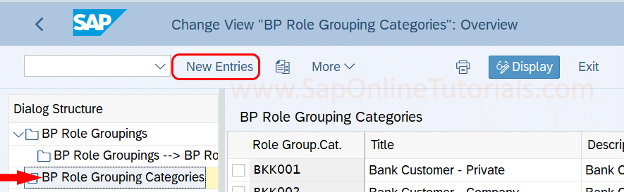 BP role Grouping categories in SAP Hana