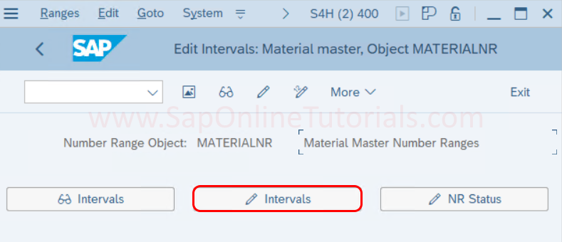 Edit Intervals Material Master SAP Hana system