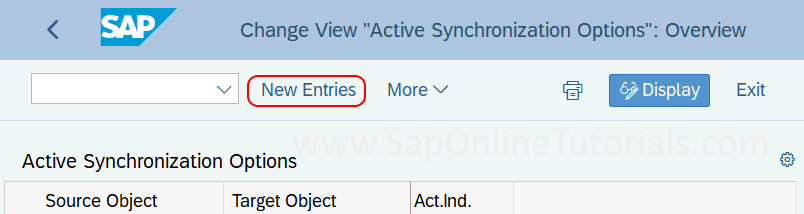 Activate Synchronization Options new entries in SAP hana