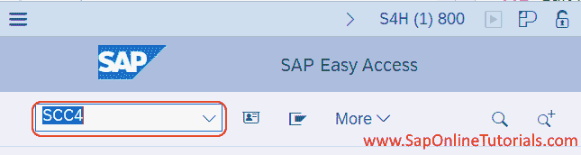 SAP Transaction Code SCC4